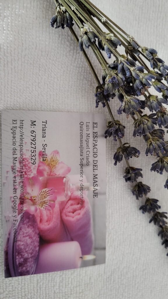 imagen de whatsapp 2025 11 05 a las 13.36.35 297515db